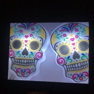 Sugar Skull light set of 16 total indoor use